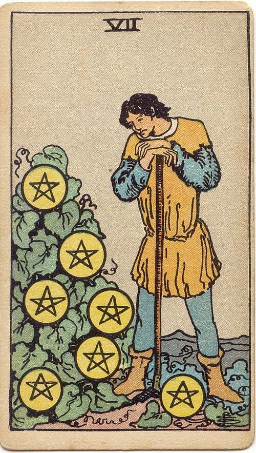 星币七
